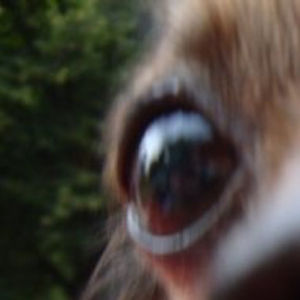 sarahcollins76 avatar