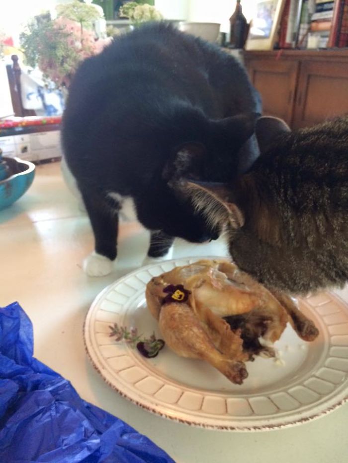 Jerry & Hank Celebrating- Jerry's 14th Adoption Anniversary