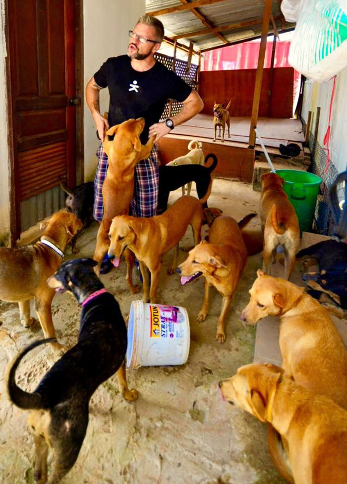 man-feeds-80-homeless-dogs-michael-baines-thailand-13