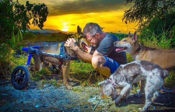 man-feeds-80-homeless-dogs-michael-baines-thailand-41 man-feeds-80-homeless-dogs-michael-baines-thailand-41