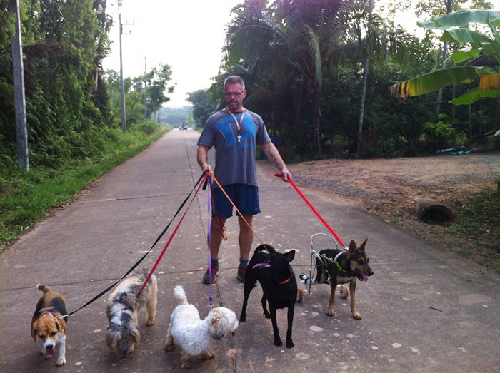 man-feeds-80-homeless-dogs-michael-baines-thailand-5
