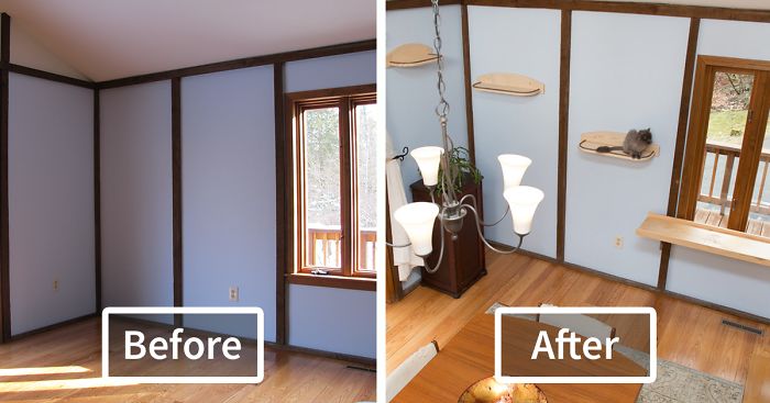 I ‘Catified’ My Friends’ House For Their 7 Cats