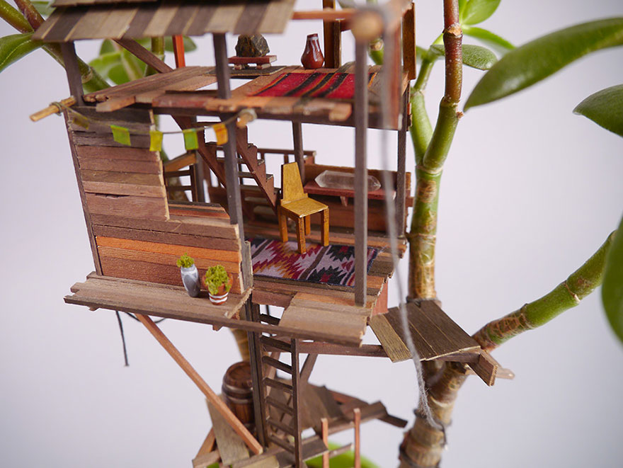 miniature-treehouse-houseplants-somewhere-small-jedediah-corwyn-voltz-13 miniature-treehouse-houseplants-somewhere-small-jedediah-corwyn-voltz-13