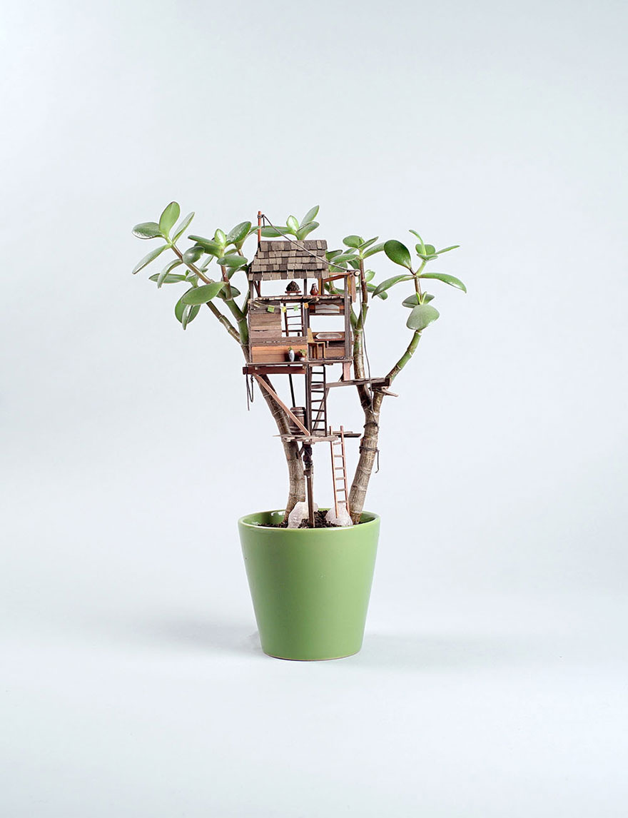 miniature-treehouse-houseplants-somewhere-small-jedediah-corwyn-voltz-7 miniature-treehouse-houseplants-somewhere-small-jedediah-corwyn-voltz-7