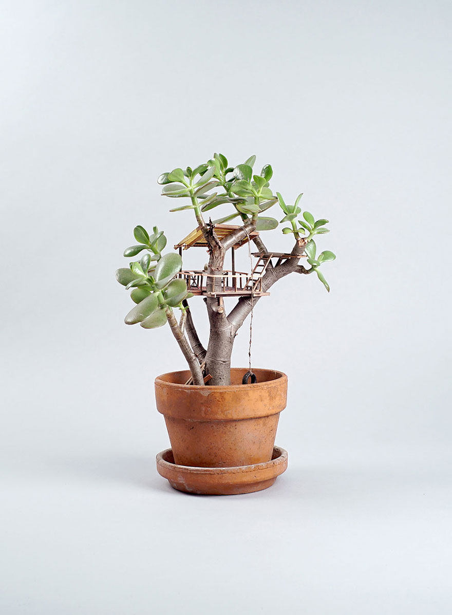 miniature-treehouse-houseplants-somewhere-small-jedediah-corwyn-voltz-8 miniature-treehouse-houseplants-somewhere-small-jedediah-corwyn-voltz-8