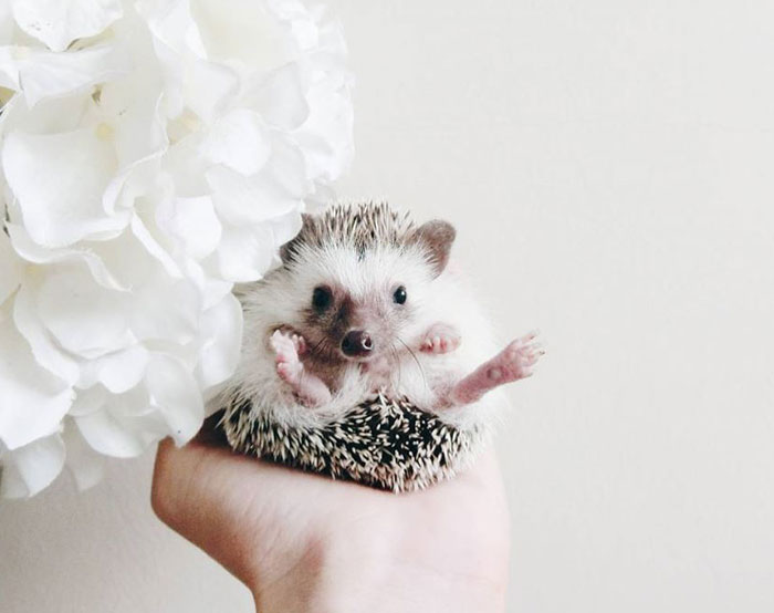 My Life Has Changed Ever Since I Met My Dad