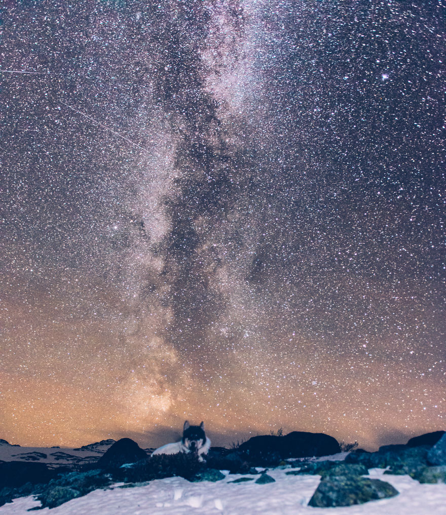 I Quit My Job To Go On Adventures With My Husky (Part 2)