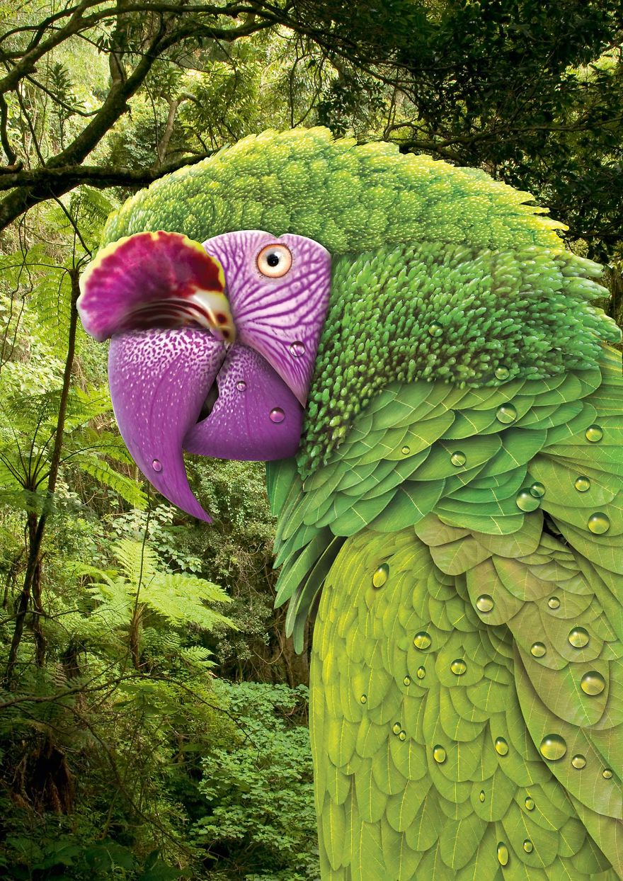 My Surreal Illustrations Portray The Relationship Between Humans And Nature