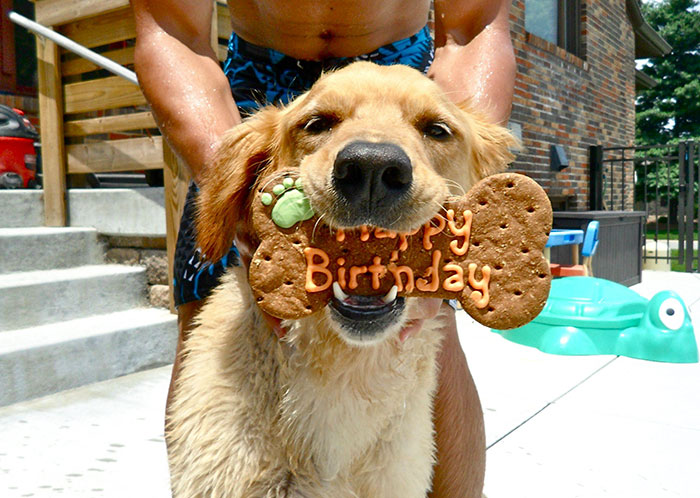 How About Some Love For My Pup On His Birthday?