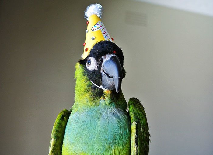 It's Mimi's 1st Hatchday Today!