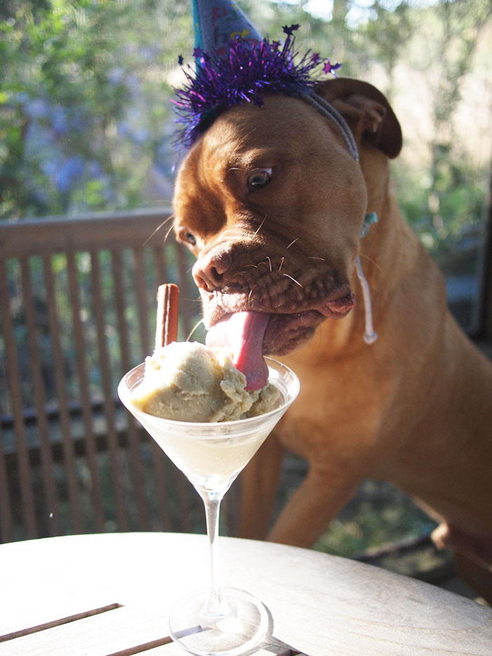 Martin Eating His Birthday Raw Goat's Milk Ice Cream - Yummy!