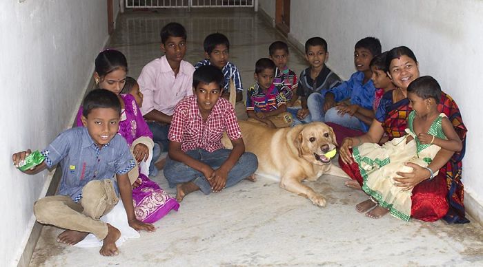 My Labrador Pogo's 4 The Birthday With Her Friends.