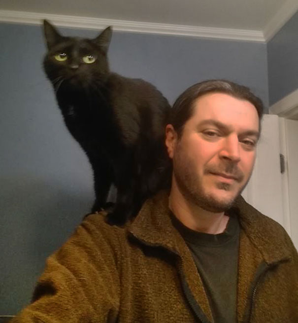 rescue-cat-injured-trucker-bb-8-dennis-mcdonald-16aaa