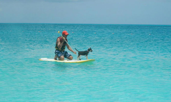rescue-dog-island-potcake-place-turks-and-caicos-15