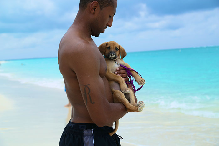 rescue-dog-island-potcake-place-turks-and-caicos-17