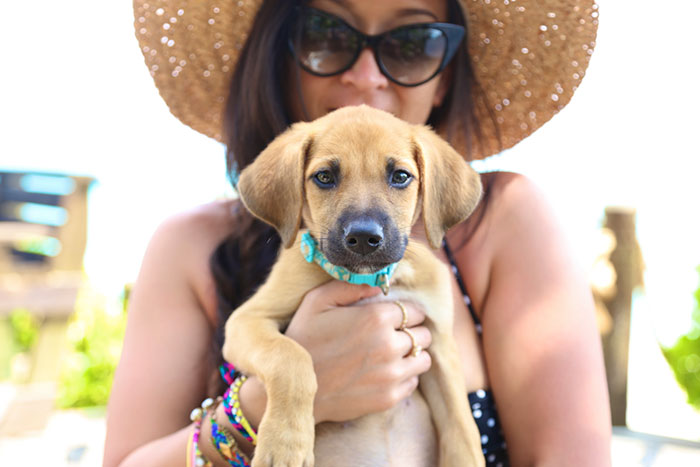 rescue-dog-island-potcake-place-turks-and-caicos-18