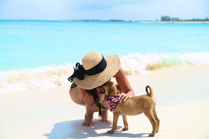 rescue-dog-island-potcake-place-turks-and-caicos-19