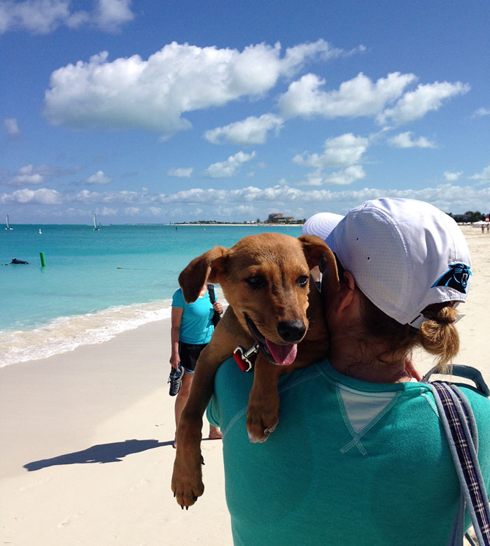 rescue-dog-island-potcake-place-turks-and-caicos-24