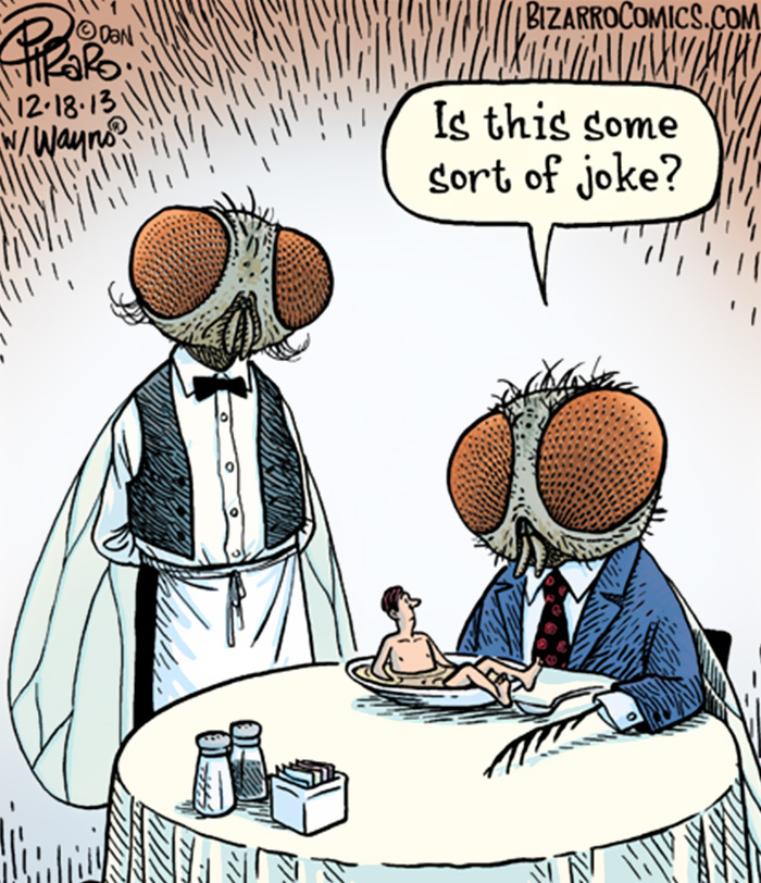 In A Parallel Universe