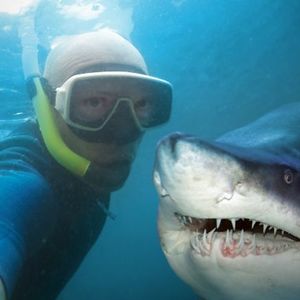 cristi_edward avatar