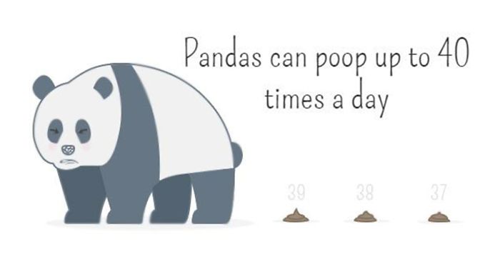 I Created Illustrations About Silly Animal Facts