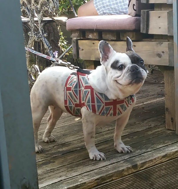 Caught This Happy Little Scrap Smiling At Me The Other Day