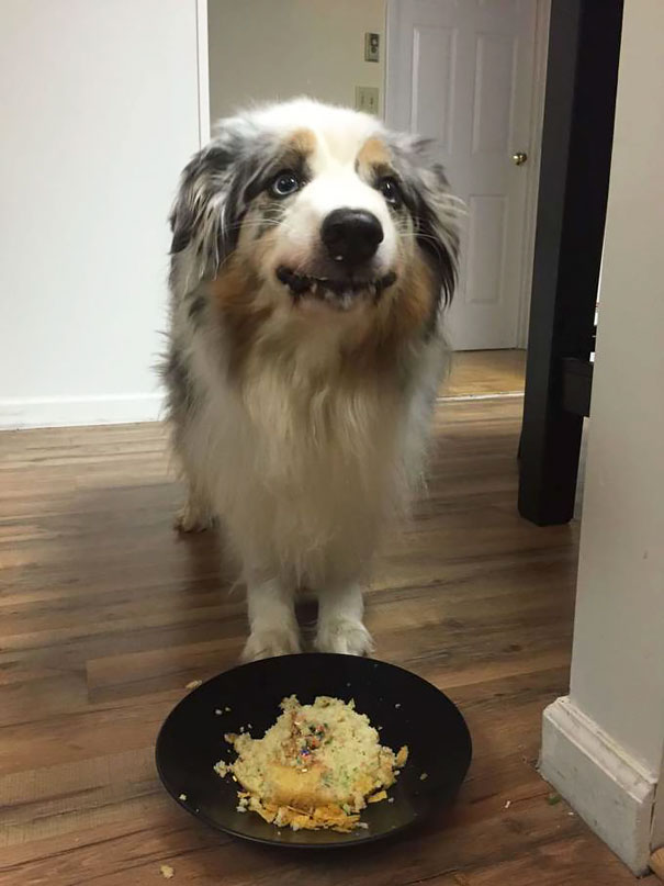 Birthday Girl Smiling About Her Cake