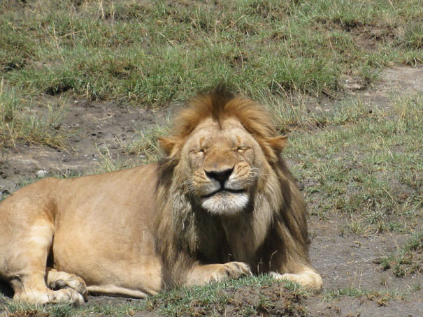 No, Take Another, I Think I Blinked