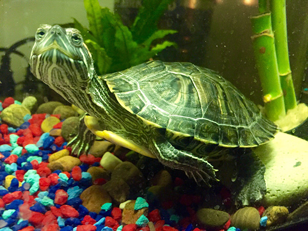 Finally Got Her To Smile For The Camera