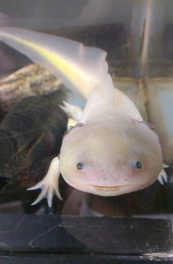 Some People Think He's Gross, But He Has Such A Cute Smile