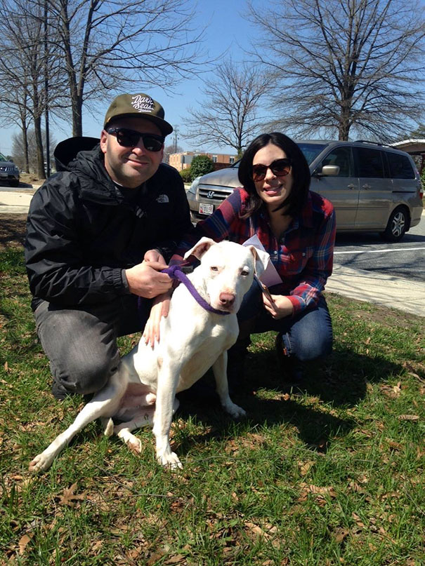 smiling-dog-adopted-pitbull-kobe-baltimore-bully-crew-12 smiling-dog-adopted-pitbull-kobe-baltimore-bully-crew-12