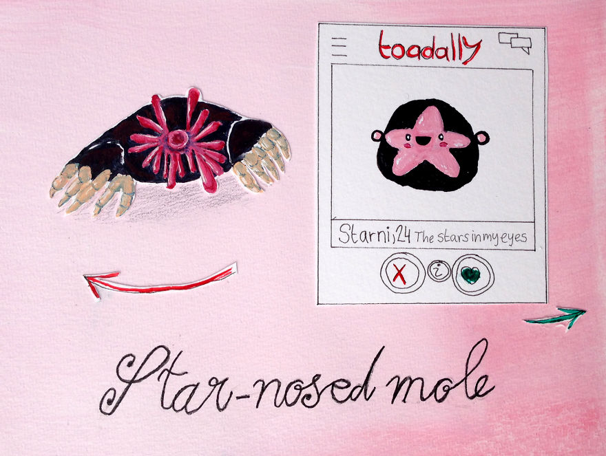 I Made 11 Ugly Animals Look Super Cute On Their Online Dating Profiles