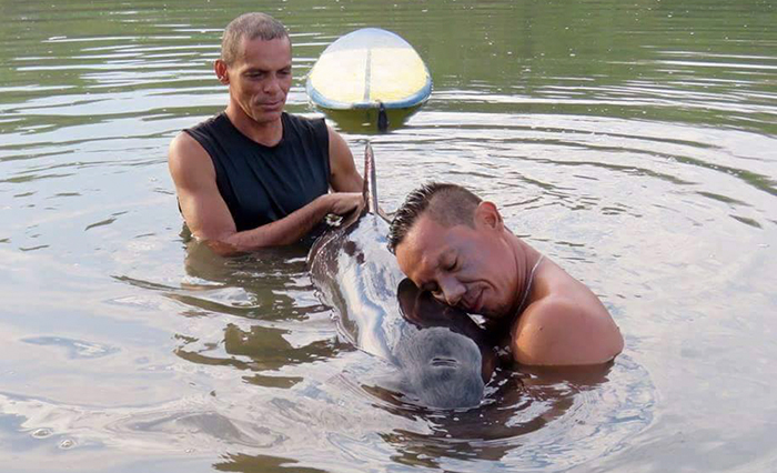 Surfers Hear A Crying Baby Whale, Spend 6 Hours Saving Her