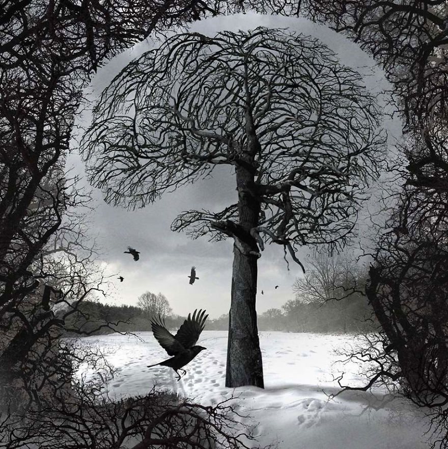 Surreal Illustrations