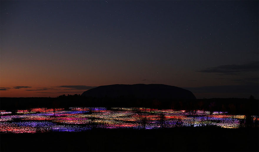 surreal-light-installations-field-of-light-bruce-munro-uluru-australia-1 surreal-light-installations-field-of-light-bruce-munro-uluru-australia-1