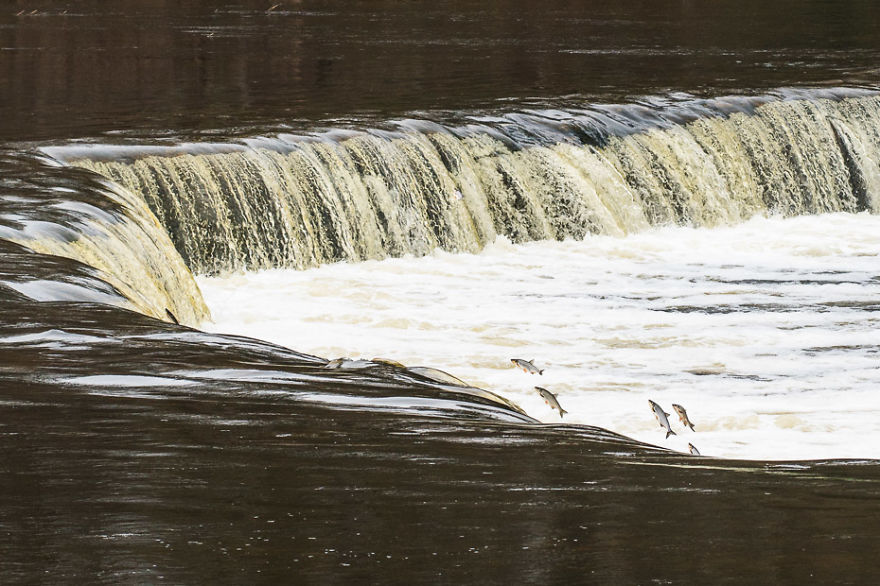 We Visited Kuldiga In Latvia And Explored The Widest Waterfall In Europe