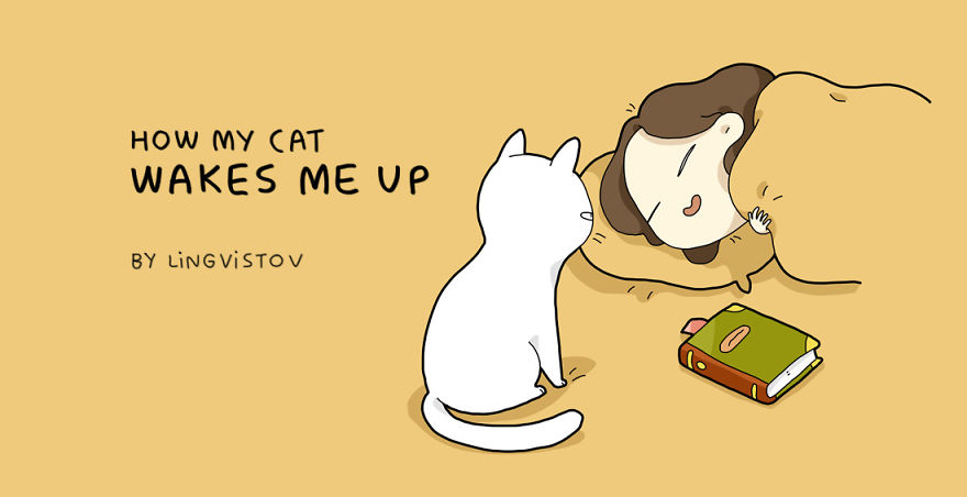 How My Cat Wakes Me Up