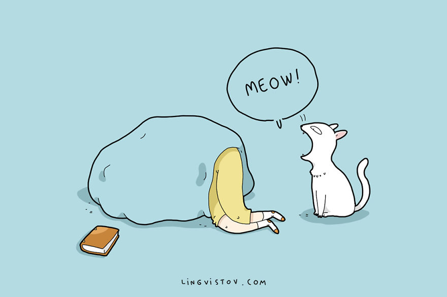 How My Cat Wakes Me Up How My Cat Wakes Me Up