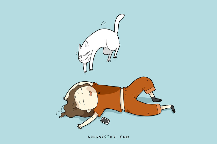 How My Cat Wakes Me Up How My Cat Wakes Me Up