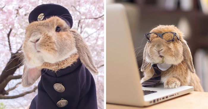 Meet PuiPui, The World’s Most Stylish Bunny (34 Pics)