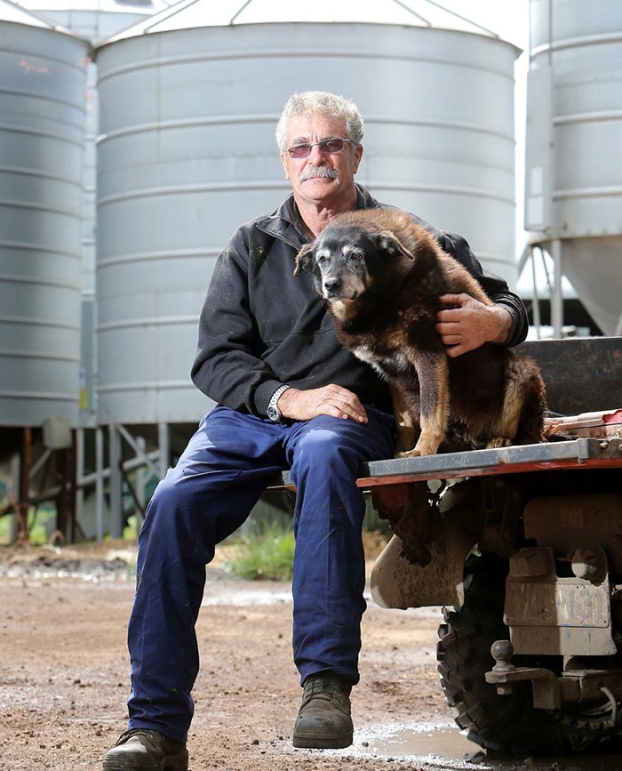 worlds-oldest-dog-dies-age-30-kelpie-maggie-15 worlds-oldest-dog-dies-age-30-kelpie-maggie-15