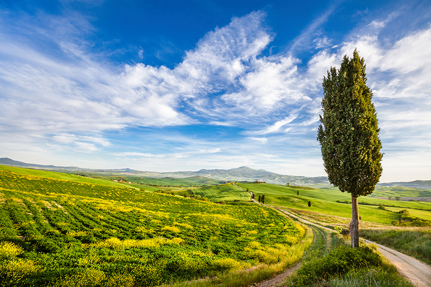 I Spent Every Sunrise And Sunset Of My Trip Photographing The Beautiful Landscape Of Tuscany I Spent Every Sunrise And Sunset Of My Trip Photographing The Beautiful Landscape Of Tuscany