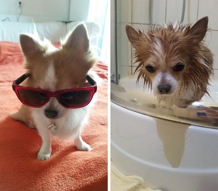 Before Vs. After Bath