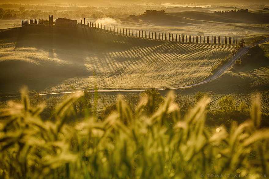 I Spent Every Sunrise And Sunset Of My Trip Photographing The Beautiful Landscape Of Tuscany