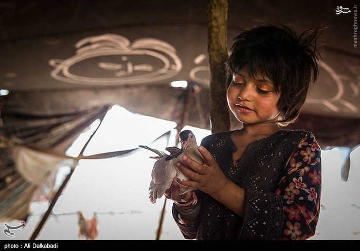 Zabul Immigrants In Sabzevar - Iran