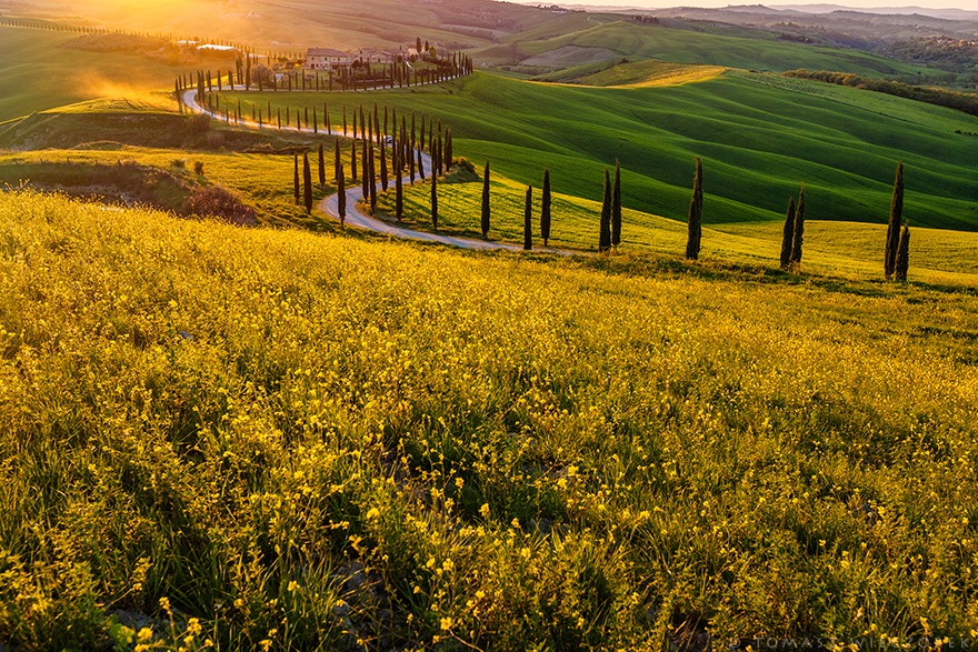 I Spent Every Sunrise And Sunset Of My Trip Photographing The Beautiful Landscape Of Tuscany