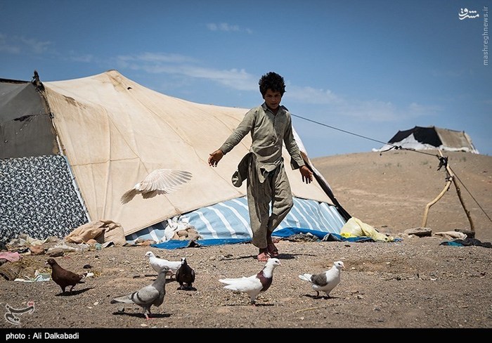 Zabul Immigrants In Sabzevar - Iran