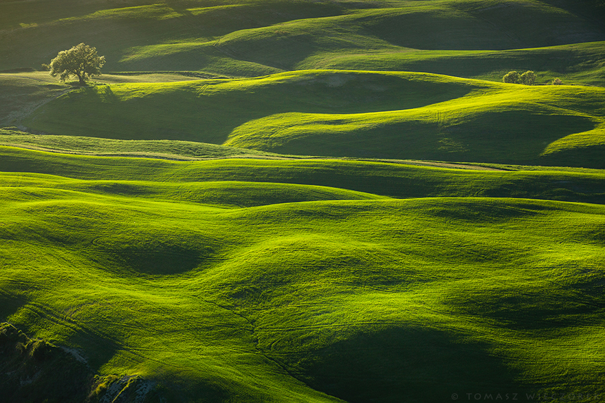 I Spent Every Sunrise And Sunset Of My Trip Photographing The Beautiful Landscape Of Tuscany I Spent Every Sunrise And Sunset Of My Trip Photographing The Beautiful Landscape Of Tuscany