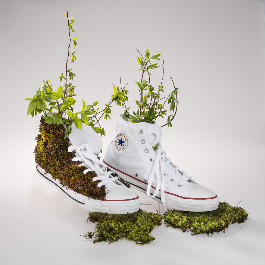 I Decorate Converse Shoes Using Candies, Moss, And Fabric Paints