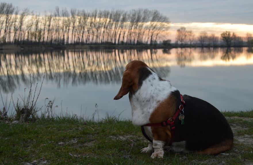 Same Theme - Different Results